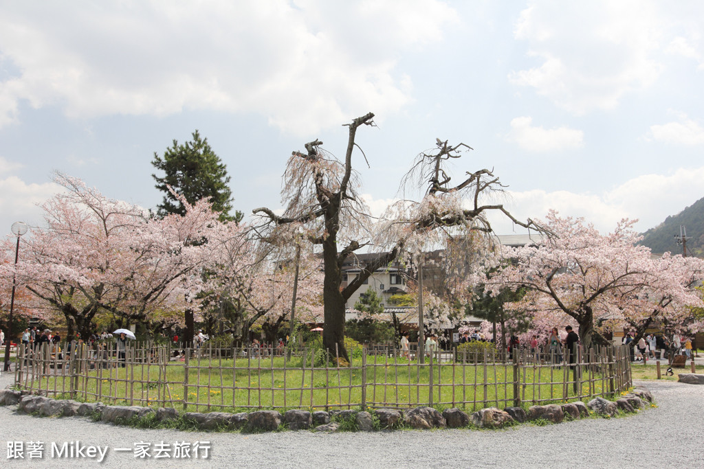 跟著 Mikey 一家去旅行 - 【 京都 】嵐山公園、嵐山渡月橋