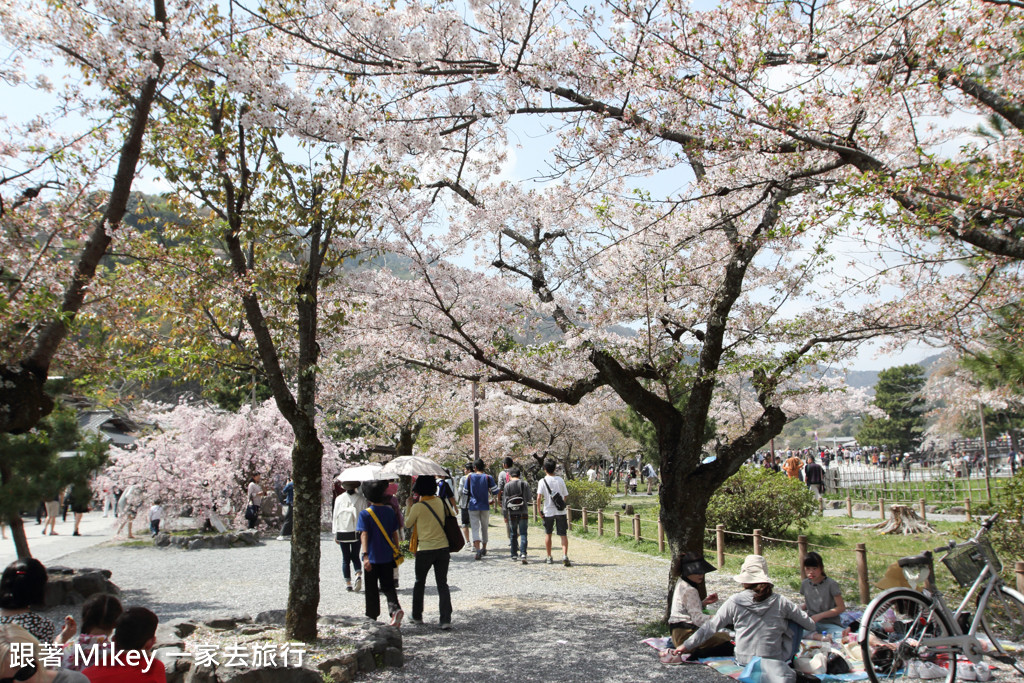 跟著 Mikey 一家去旅行 - 【 京都 】嵐山公園、嵐山渡月橋