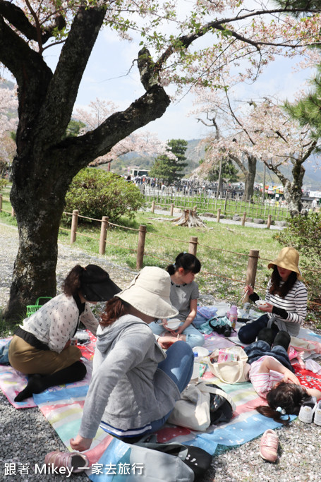 跟著 Mikey 一家去旅行 - 【 京都 】嵐山公園、嵐山渡月橋