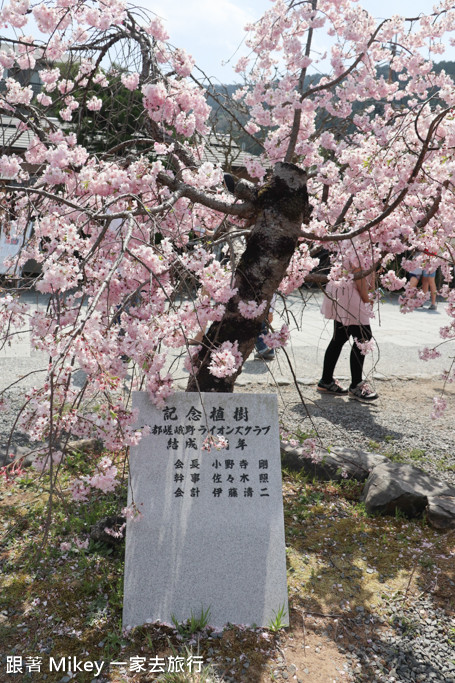 跟著 Mikey 一家去旅行 - 【 京都 】嵐山公園、嵐山渡月橋