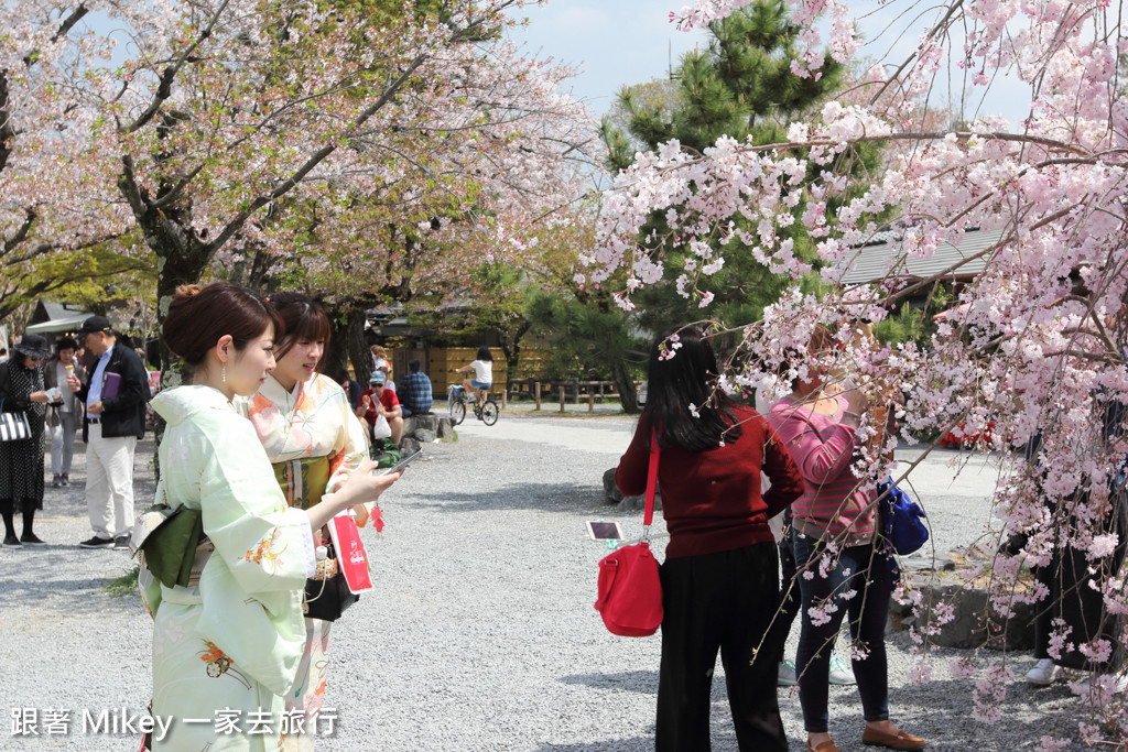 跟著 Mikey 一家去旅行 - 【 京都 】嵐山公園、嵐山渡月橋