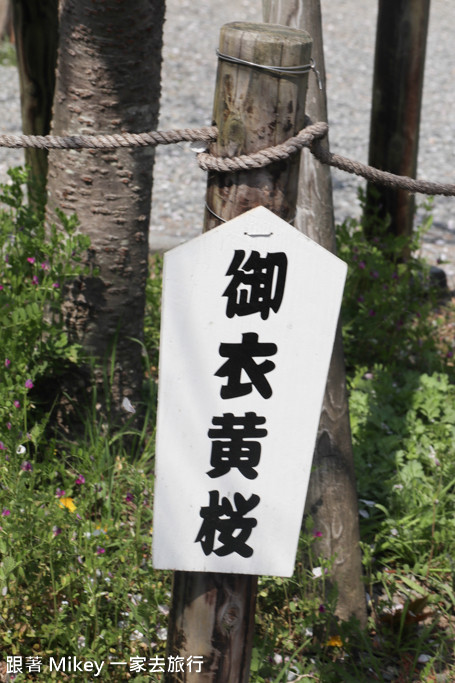 跟著 Mikey 一家去旅行 - 【 京都 】嵐山公園、嵐山渡月橋