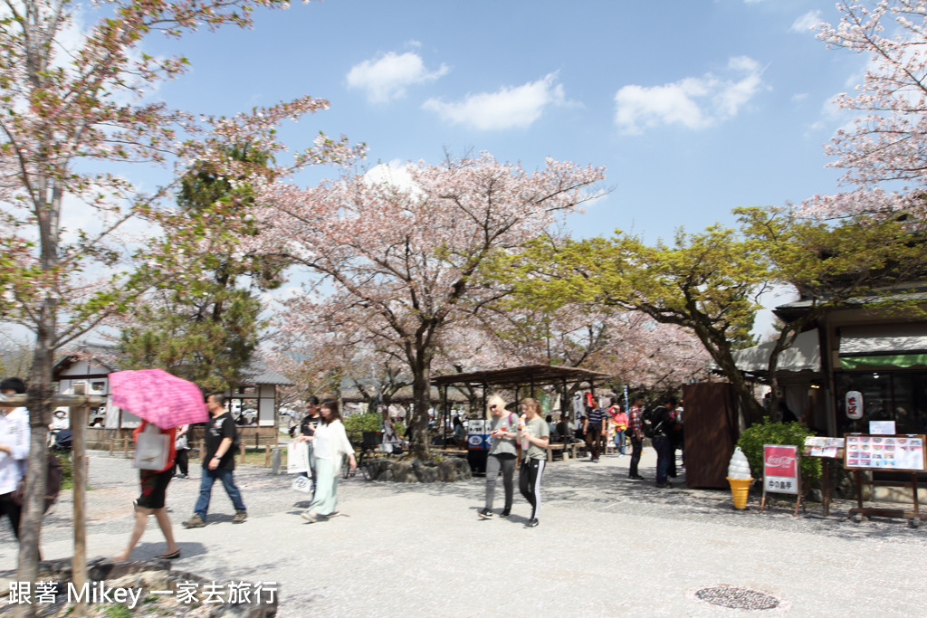 跟著 Mikey 一家去旅行 - 【 京都 】嵐山公園、嵐山渡月橋