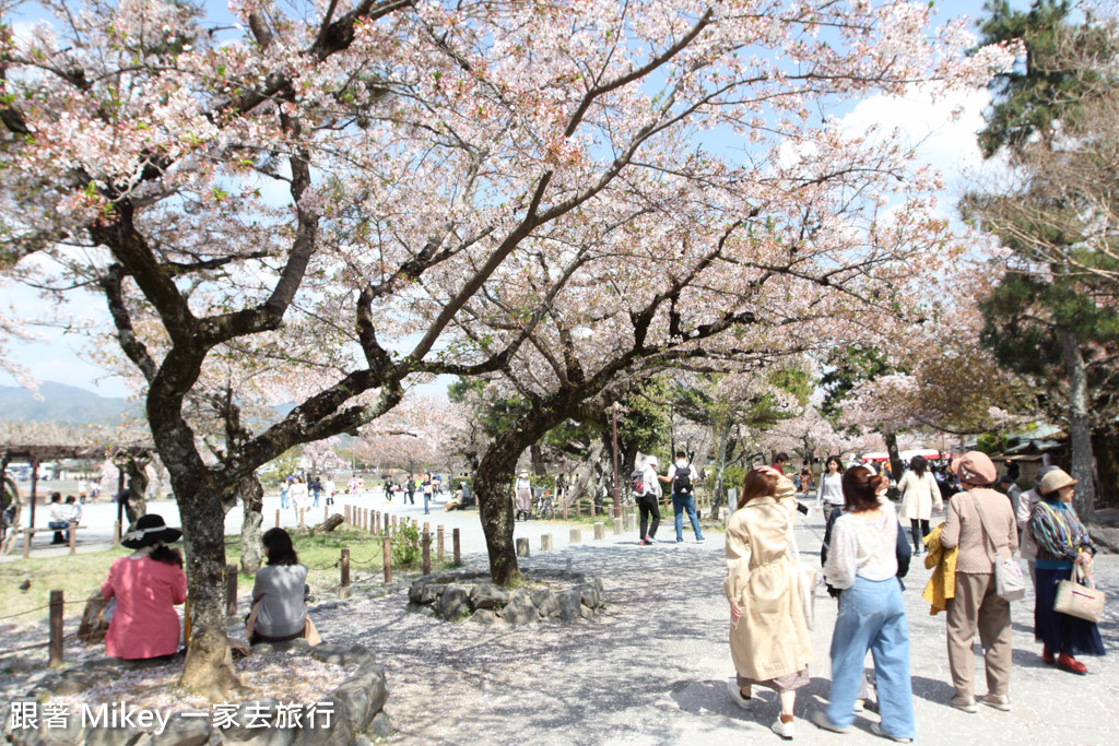 跟著 Mikey 一家去旅行 - 【 京都 】嵐山公園、嵐山渡月橋