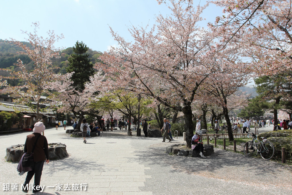 跟著 Mikey 一家去旅行 - 【 京都 】嵐山公園、嵐山渡月橋