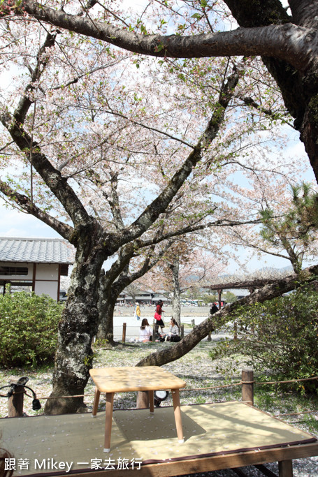 跟著 Mikey 一家去旅行 - 【 京都 】嵐山公園、嵐山渡月橋