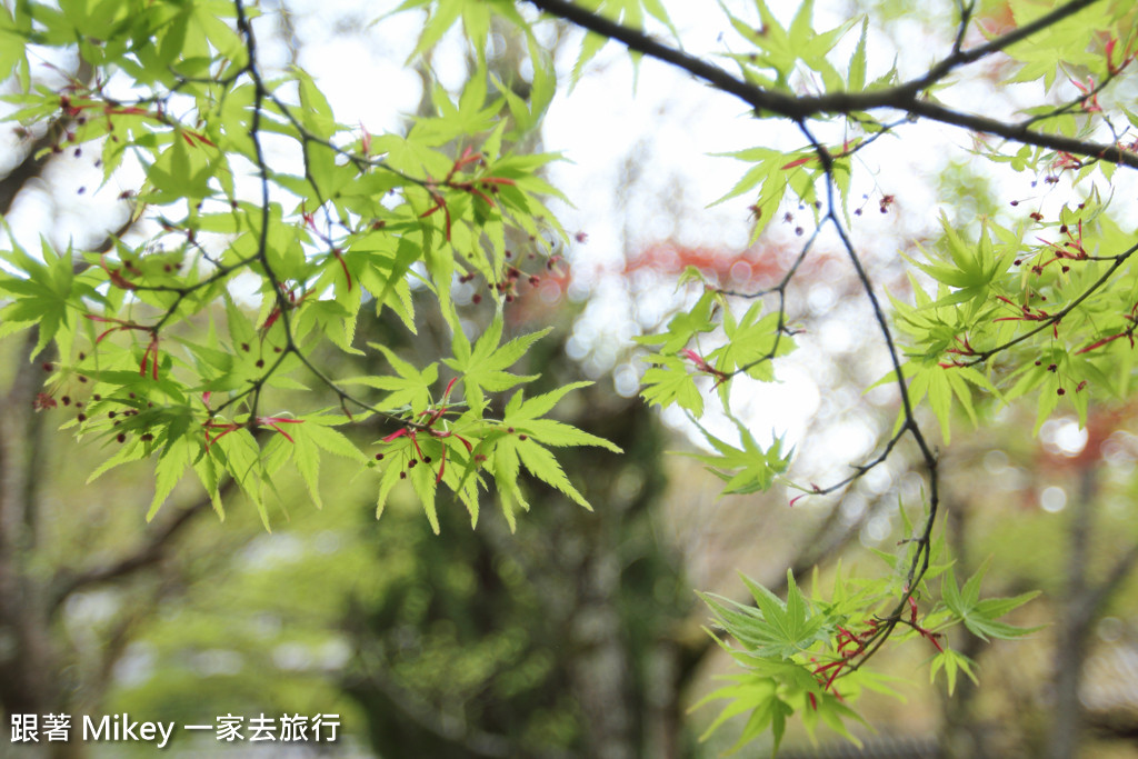 跟著 Mikey 一家去旅行 - 【 京都 】南禪寺