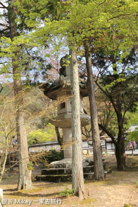 跟著 Mikey 一家去旅行 - 【 京都 】南禪寺