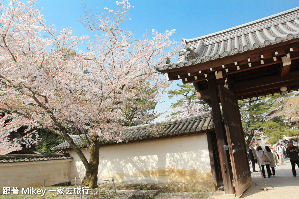 跟著 Mikey 一家去旅行 - 【 京都 】醍醐寺 - Part I