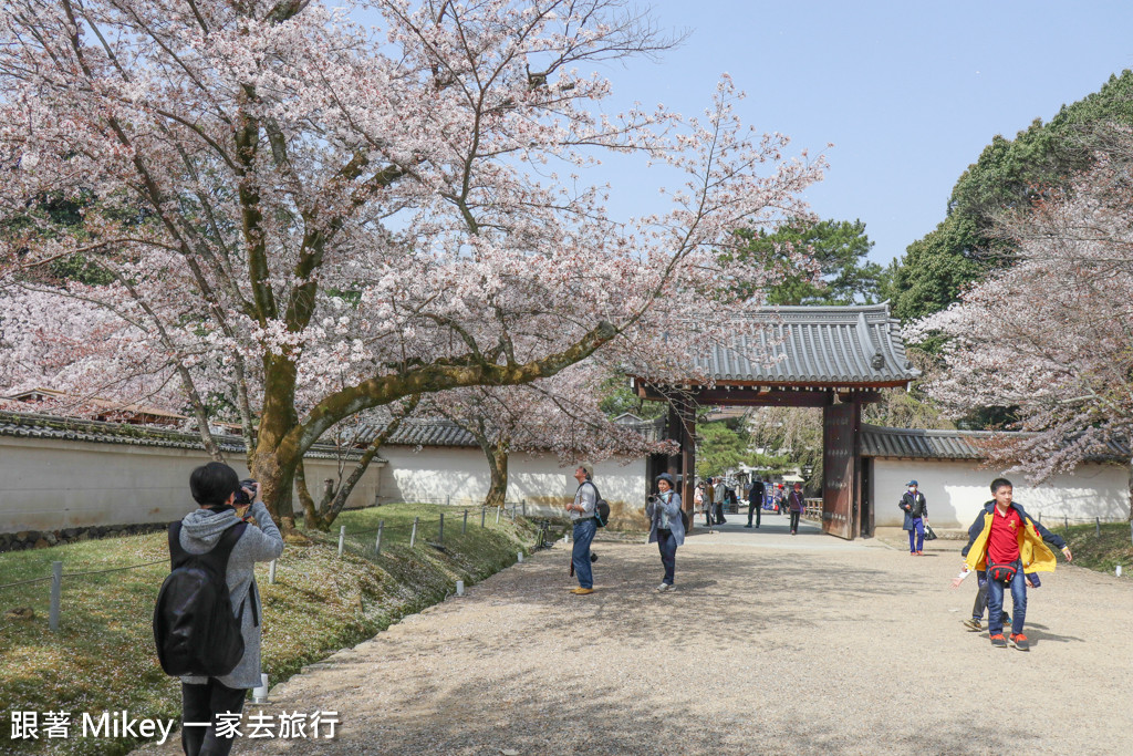 跟著 Mikey 一家去旅行 - 【 京都 】醍醐寺 - Part I