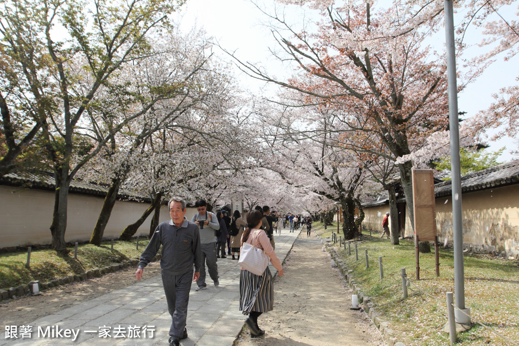 跟著 Mikey 一家去旅行 - 【 京都 】醍醐寺 - Part I