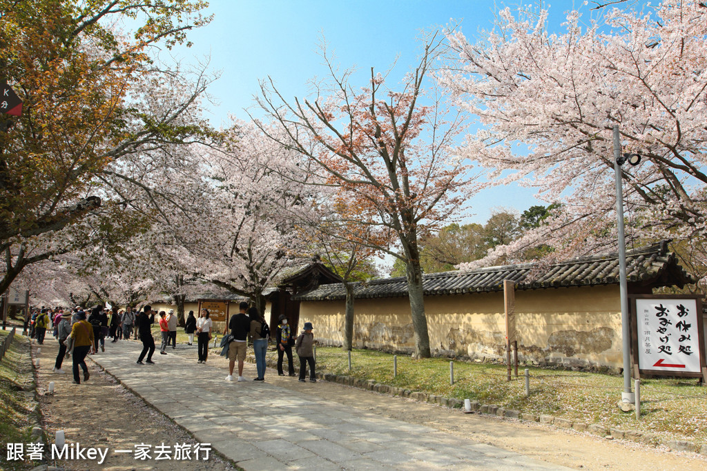 跟著 Mikey 一家去旅行 - 【 京都 】醍醐寺 - Part I