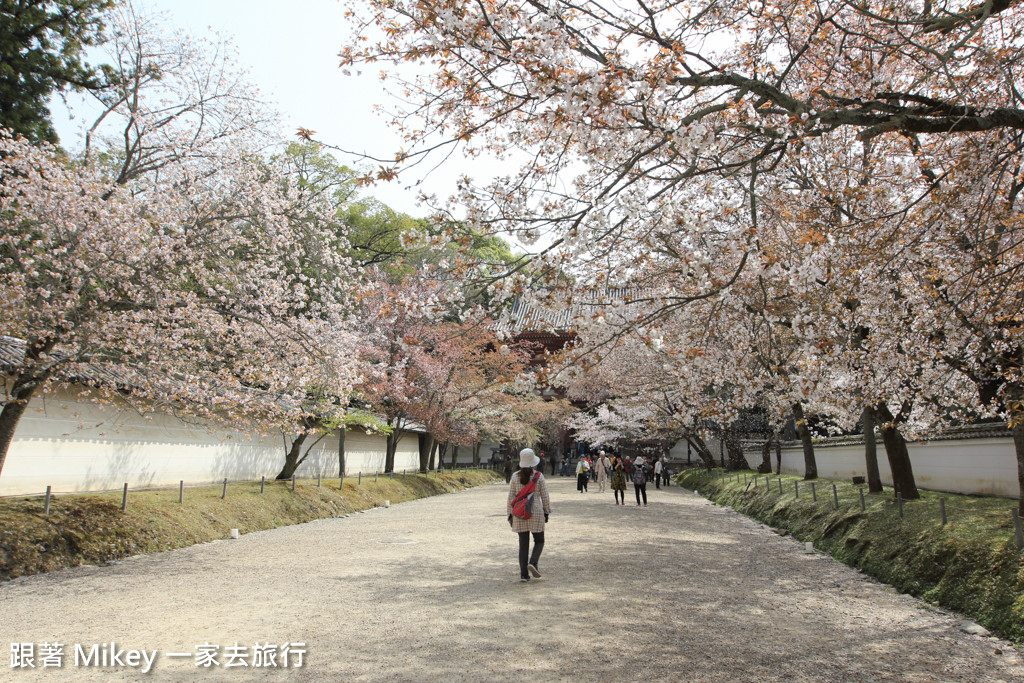 跟著 Mikey 一家去旅行 - 【 京都 】醍醐寺 - Part I