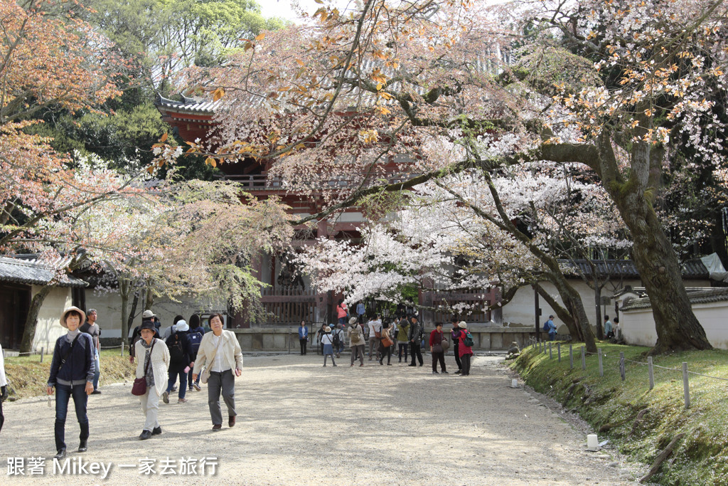 跟著 Mikey 一家去旅行 - 【 京都 】醍醐寺 - Part I