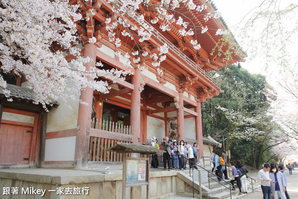 跟著 Mikey 一家去旅行 - 【 京都 】醍醐寺 - Part I