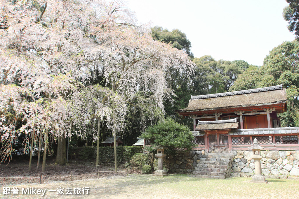 跟著 Mikey 一家去旅行 - 【 京都 】醍醐寺 - Part I