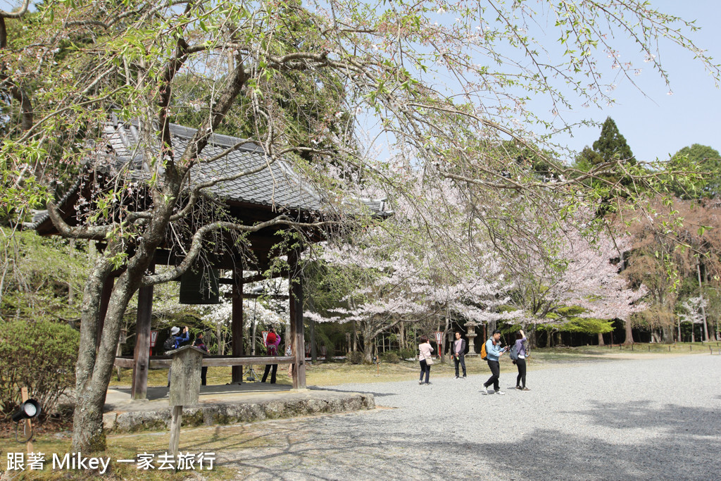 跟著 Mikey 一家去旅行 - 【 京都 】醍醐寺 - Part I