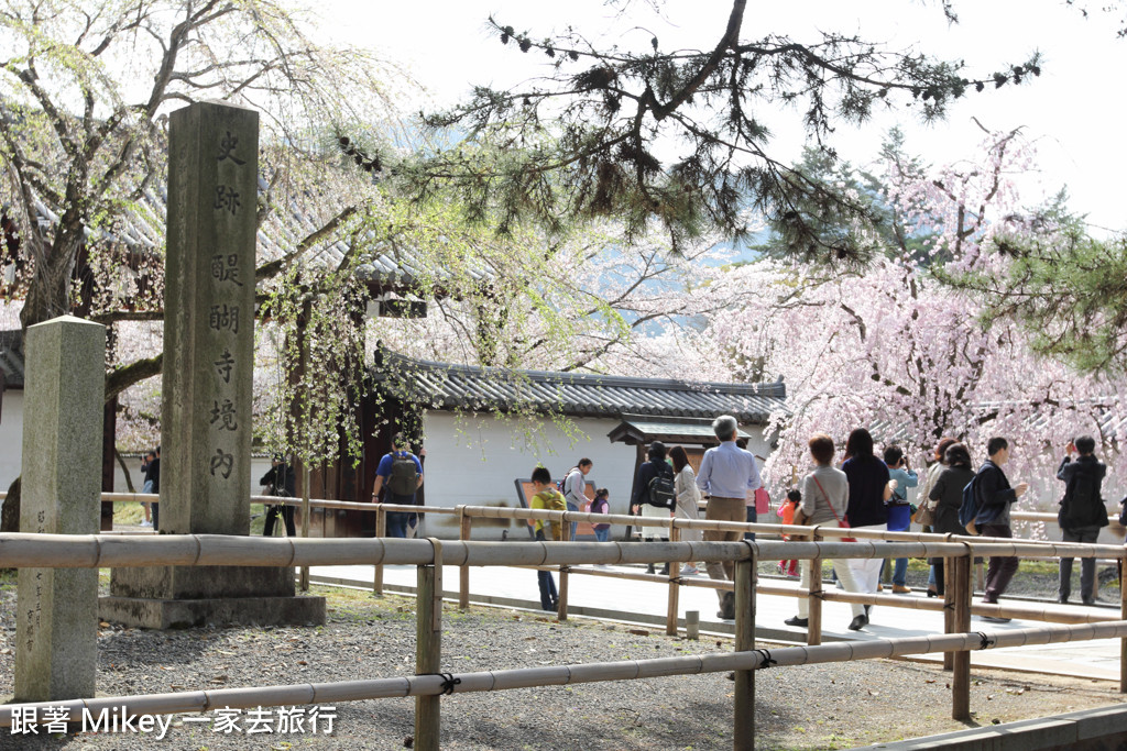 跟著 Mikey 一家去旅行 - 【 京都 】醍醐寺 - Part I