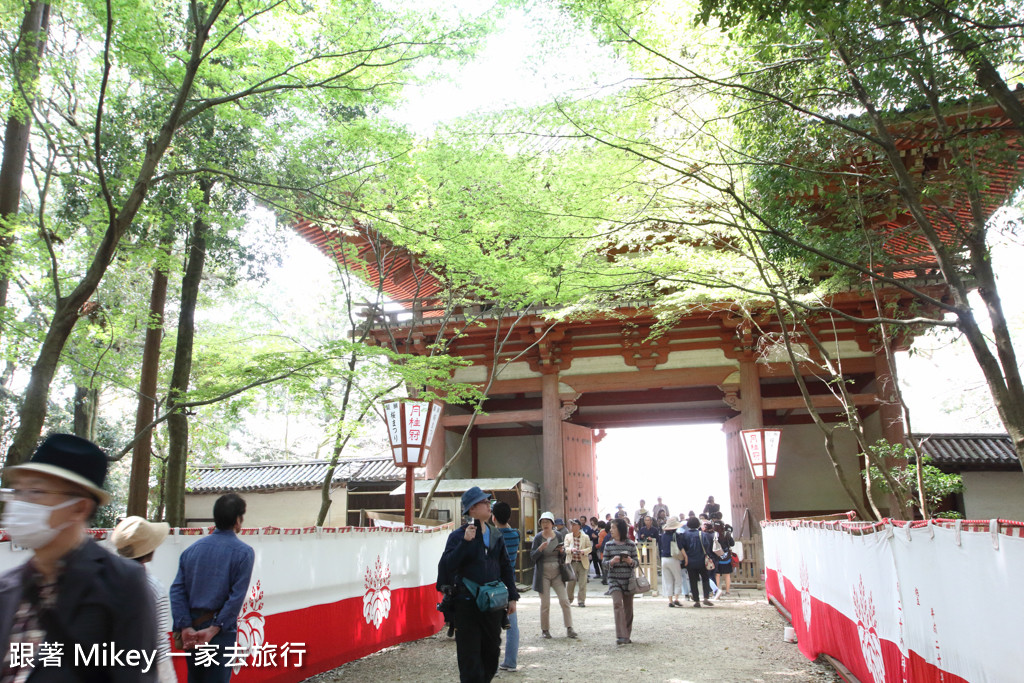 跟著 Mikey 一家去旅行 - 【 京都 】醍醐寺 - Part II