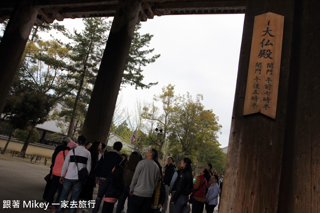 跟著 Mikey 一家去旅行 - 【 奈良 】東大寺