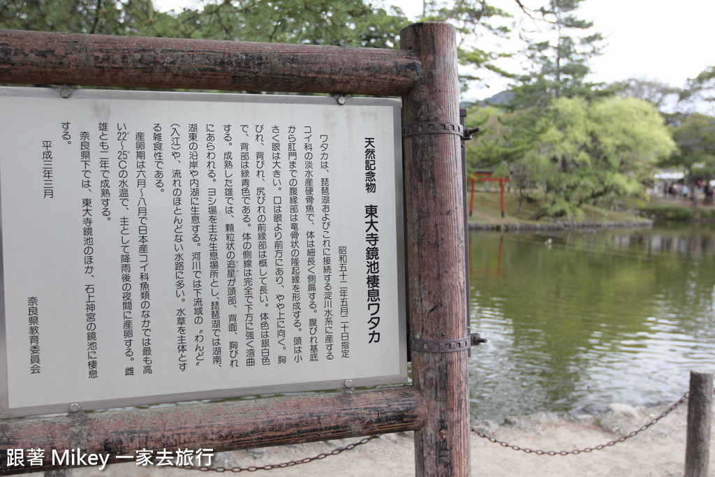 跟著 Mikey 一家去旅行 - 【 奈良 】東大寺