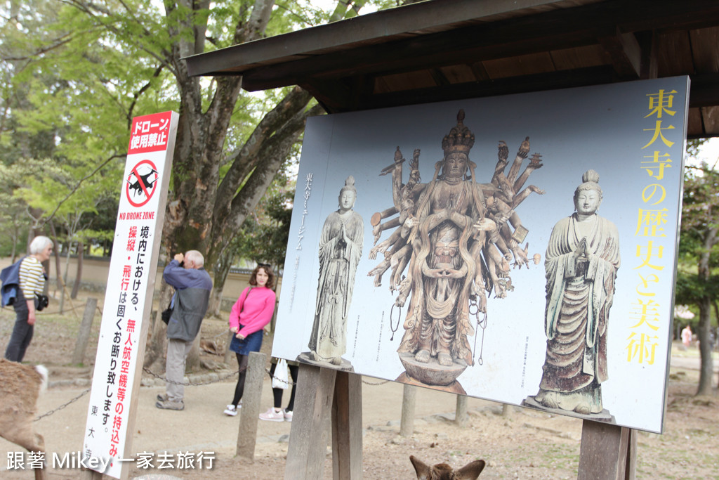 跟著 Mikey 一家去旅行 - 【 奈良 】東大寺