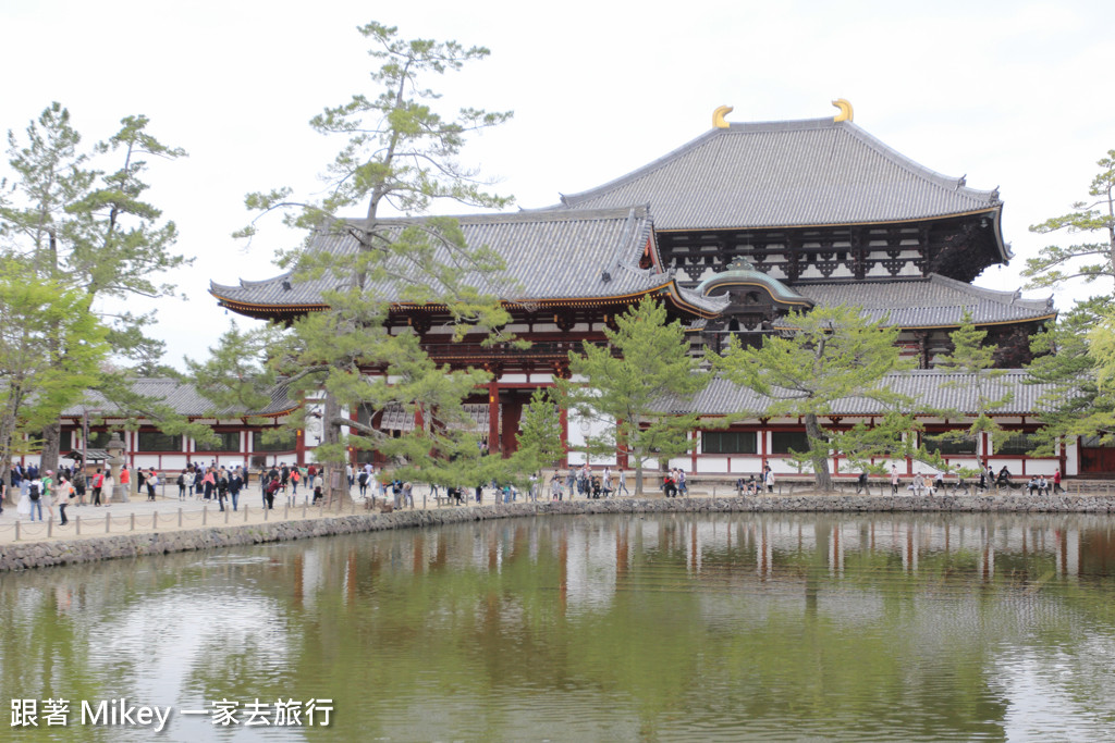 跟著 Mikey 一家去旅行 - 【 奈良 】東大寺