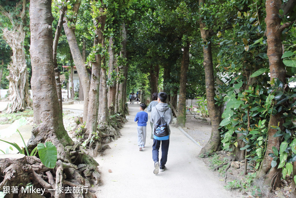 跟著 Mikey 一家去旅行 - 【 沖繩 】備瀨福木林道