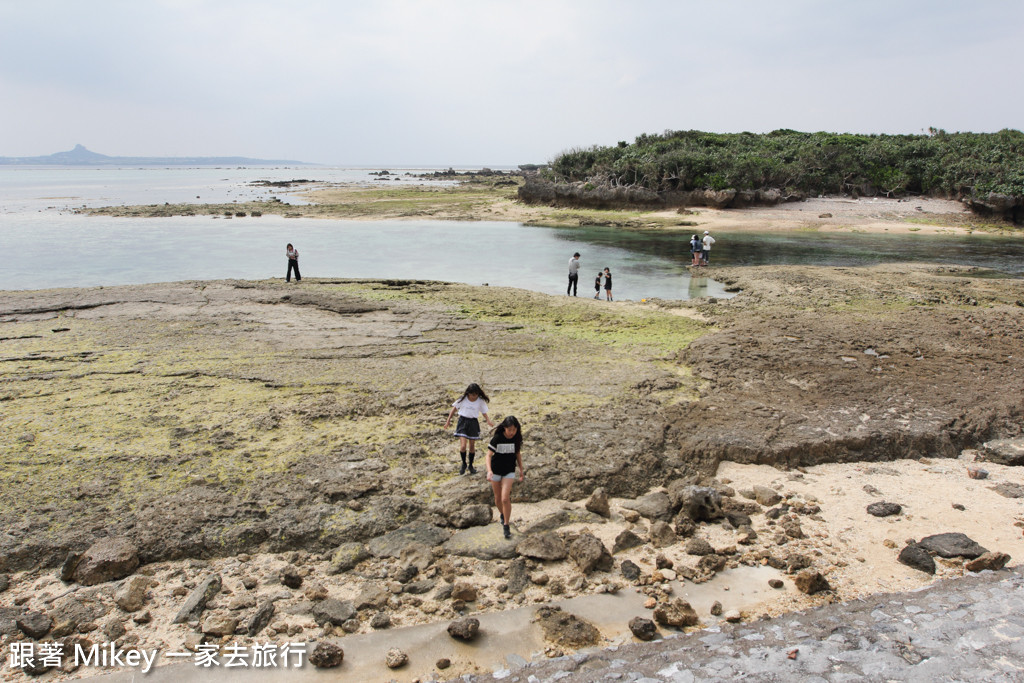 跟著 Mikey 一家去旅行 - 【 沖繩 】備瀨福木林道