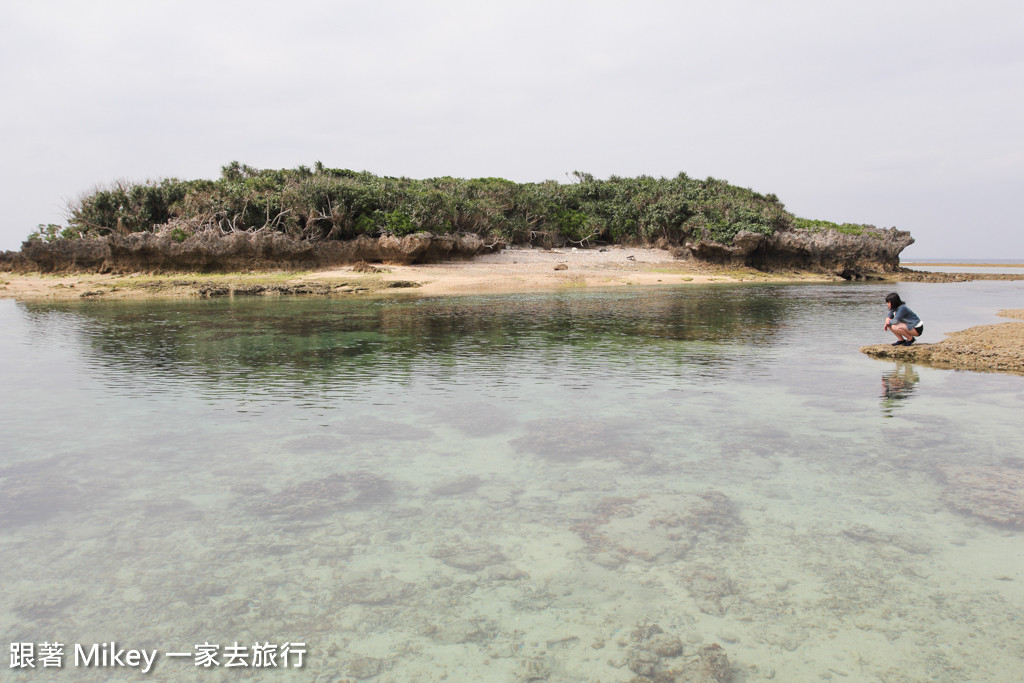 跟著 Mikey 一家去旅行 - 【 沖繩 】備瀨福木林道