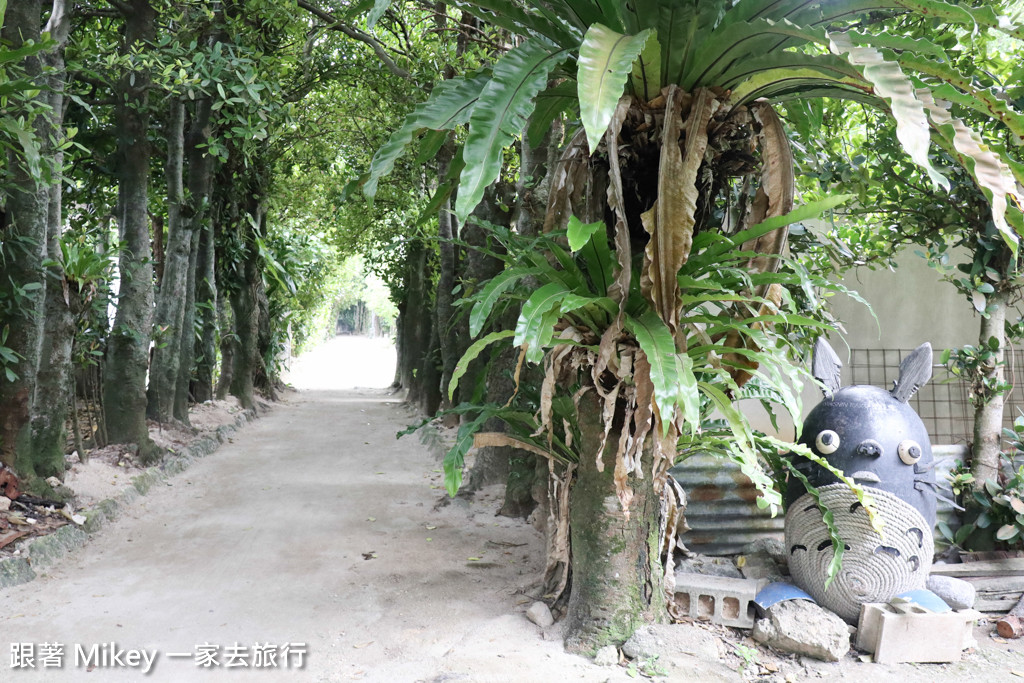 跟著 Mikey 一家去旅行 - 【 沖繩 】備瀨福木林道