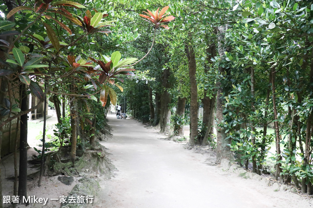 跟著 Mikey 一家去旅行 - 【 沖繩 】備瀨福木林道