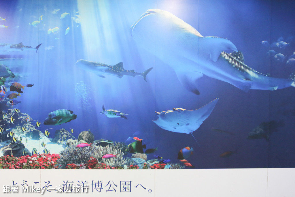 跟著 Mikey 一家去旅行 - 【 沖繩 】美ら海水族館 - 環境篇