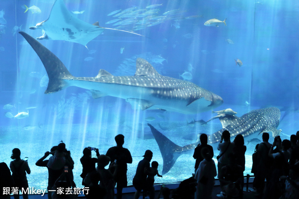 跟著 Mikey 一家去旅行 - 【 沖繩 】 美ら海水族館 - 黑潮之海