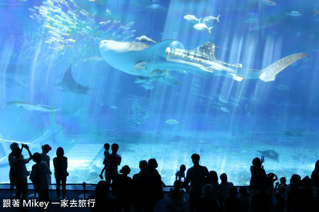 跟著 Mikey 一家去旅行 - 【 沖繩 】 美ら海水族館 - 黑潮之海