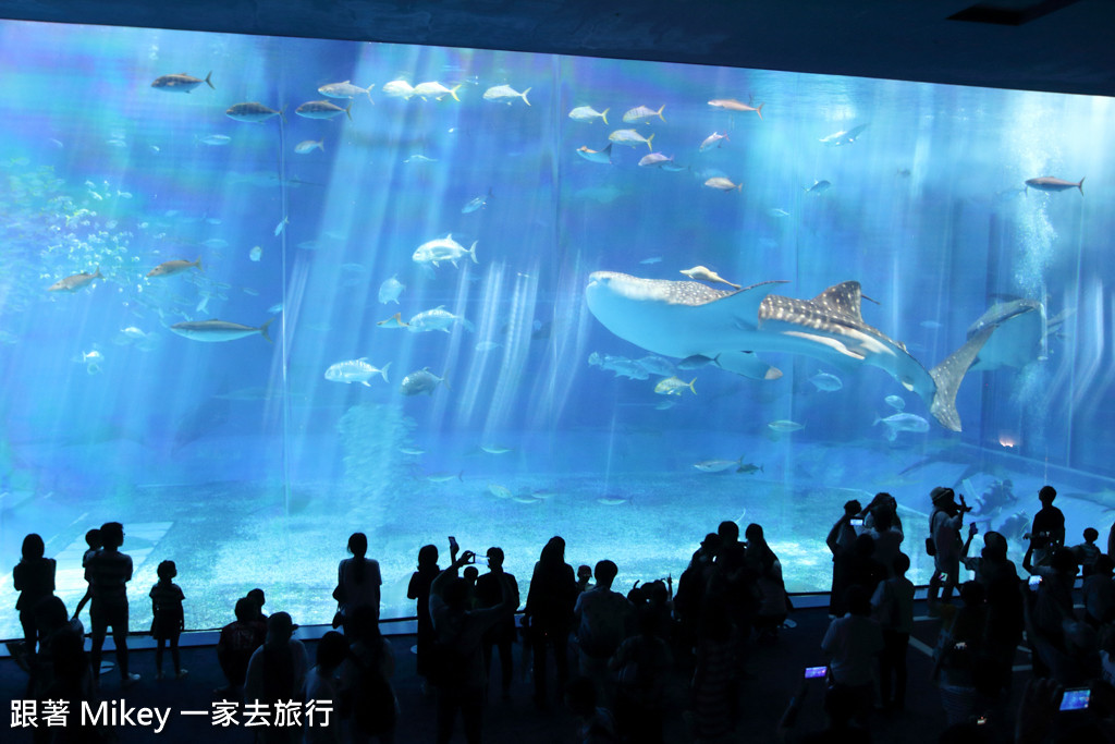 跟著 Mikey 一家去旅行 - 【 沖繩 】 美ら海水族館 - 黑潮之海