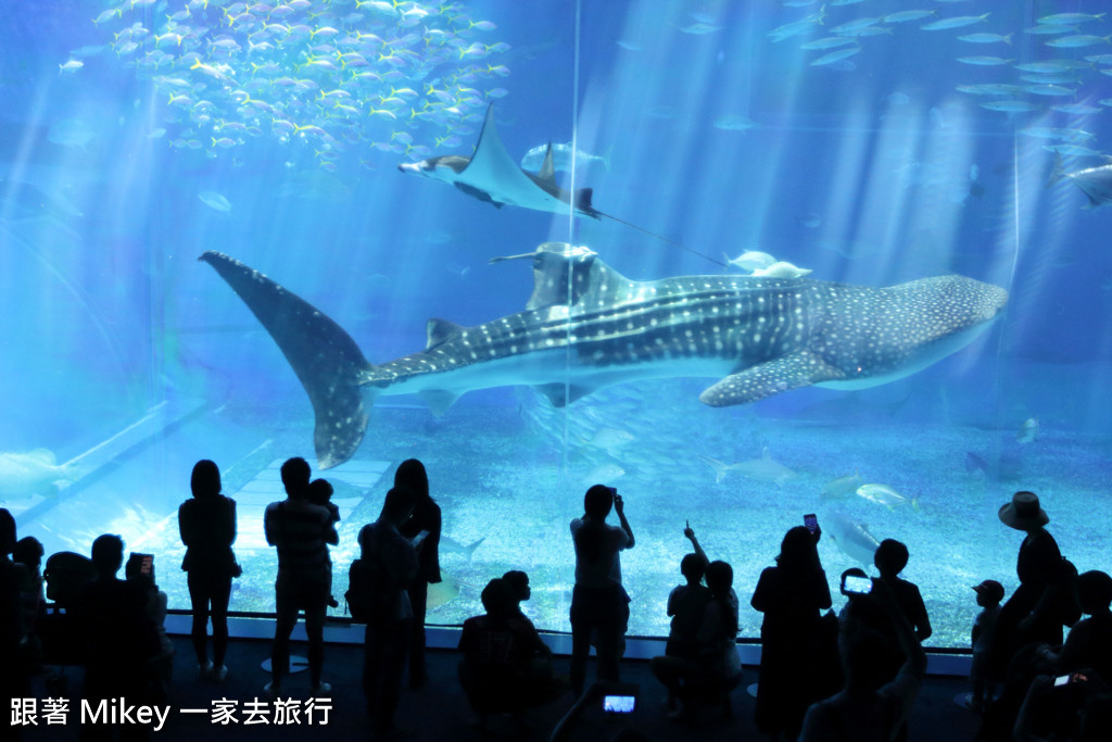 跟著 Mikey 一家去旅行 - 【 沖繩 】 美ら海水族館 - 黑潮之海