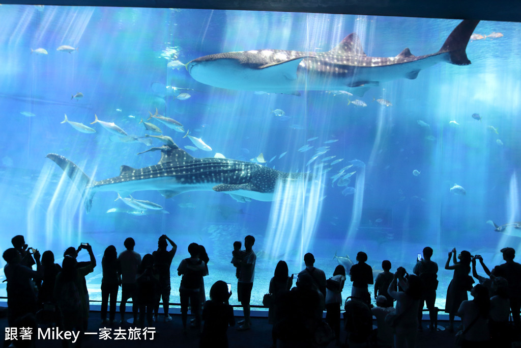 跟著 Mikey 一家去旅行 - 【 沖繩 】 美ら海水族館 - 黑潮之海