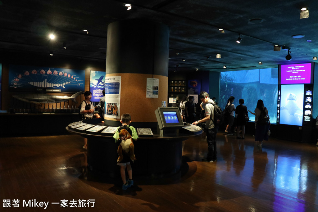 跟著 Mikey 一家去旅行 - 【 沖繩 】 美ら海水族館 - 黑潮之海