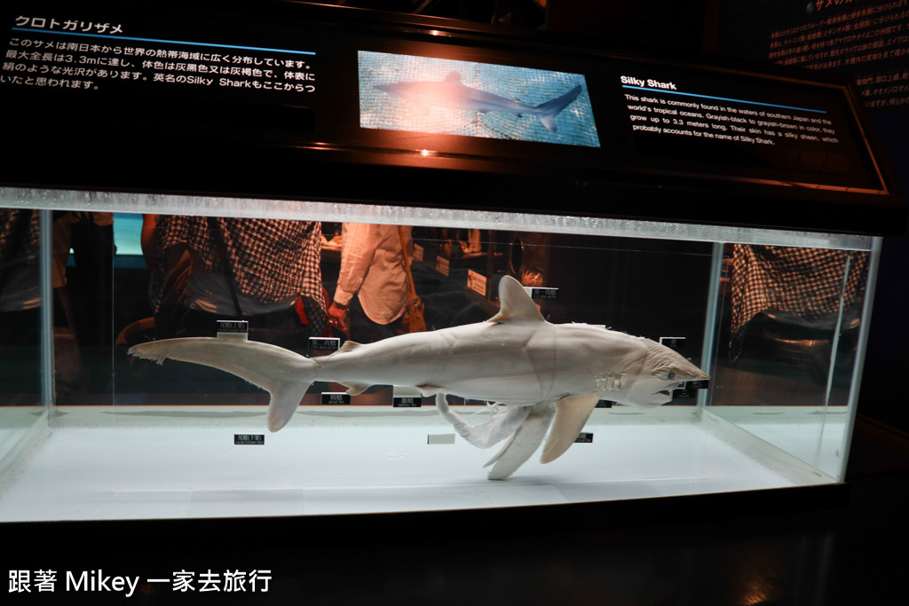 跟著 Mikey 一家去旅行 - 【 沖繩 】 美ら海水族館 - 黑潮之海