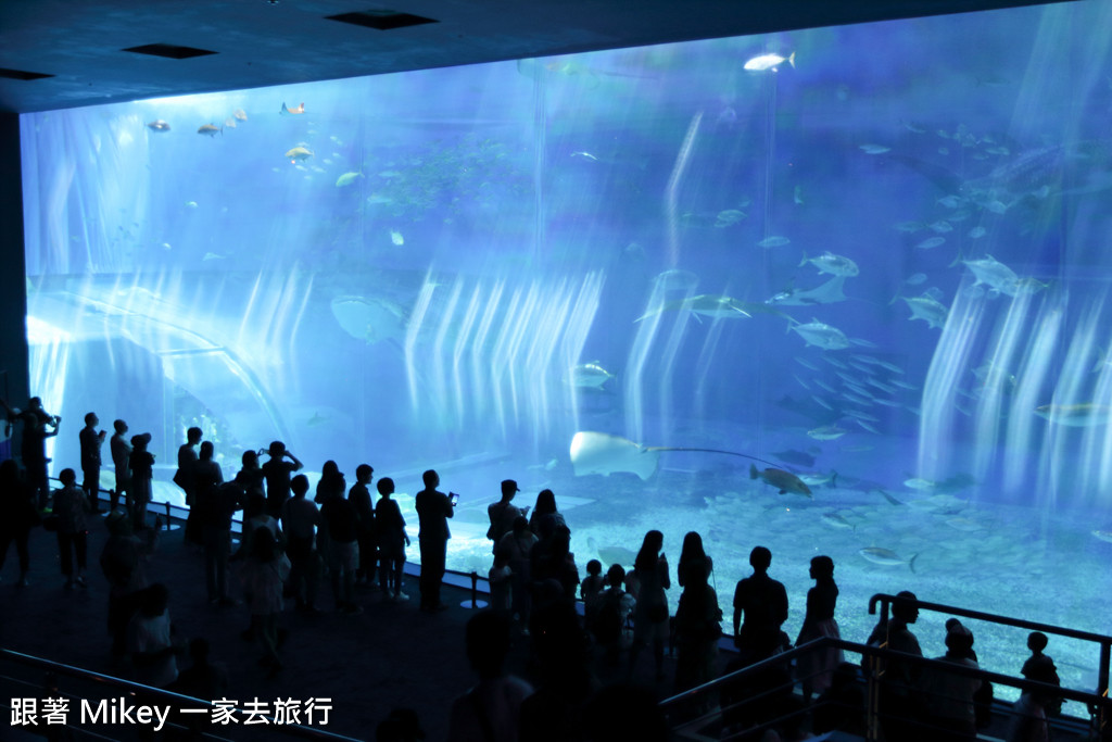 跟著 Mikey 一家去旅行 - 【 沖繩 】 美ら海水族館 - 黑潮之海