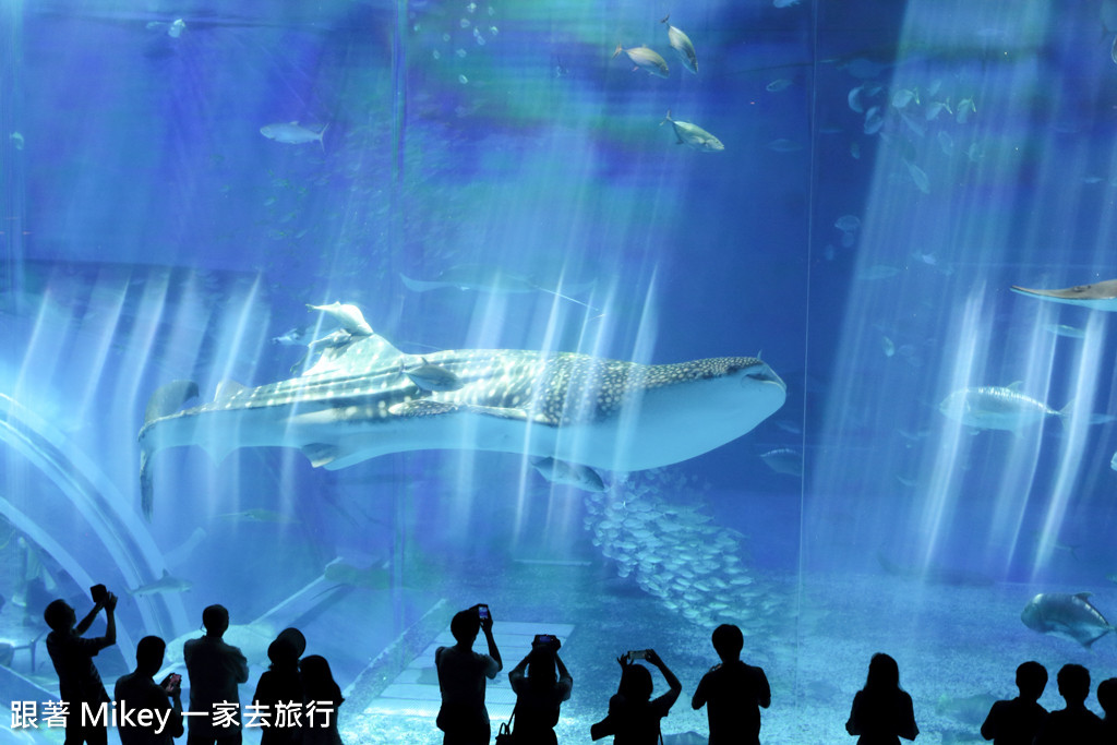 跟著 Mikey 一家去旅行 - 【 沖繩 】 美ら海水族館 - 黑潮之海