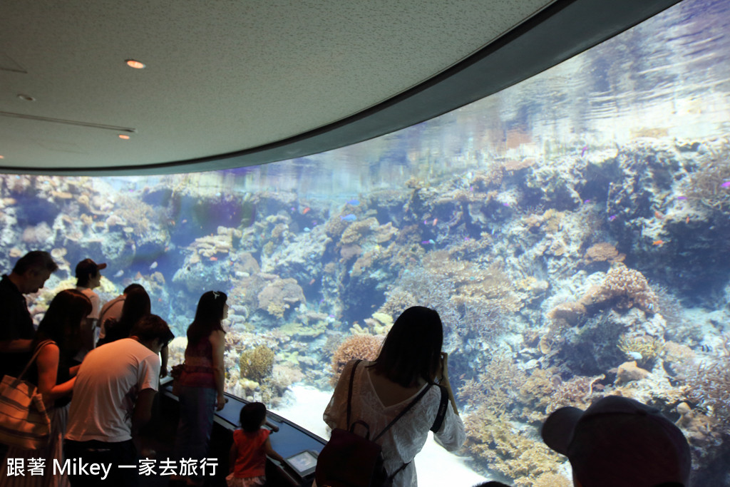 跟著 Mikey 一家去旅行 - 【 沖繩 】 美ら海水族館 - 珊瑚礁之旅