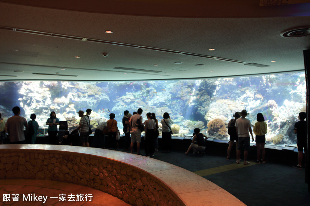 跟著 Mikey 一家去旅行 - 【 沖繩 】 美ら海水族館 - 珊瑚礁之旅