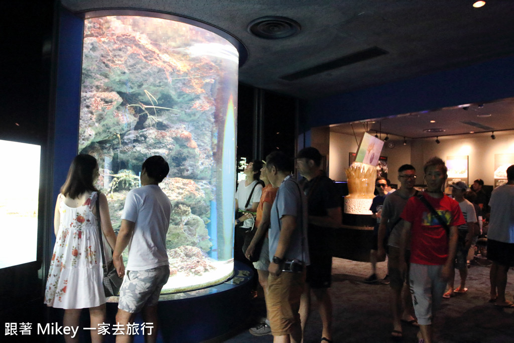 跟著 Mikey 一家去旅行 - 【 沖繩 】 美ら海水族館 - 珊瑚礁之旅