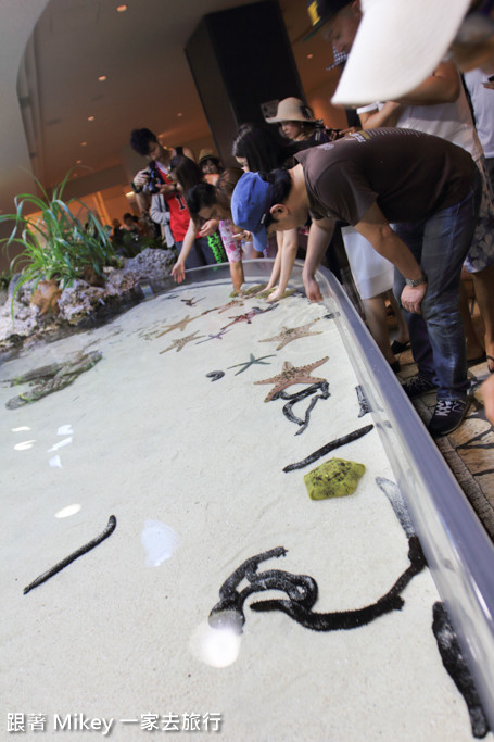 跟著 Mikey 一家去旅行 - 【 沖繩 】 美ら海水族館 - 珊瑚礁之旅