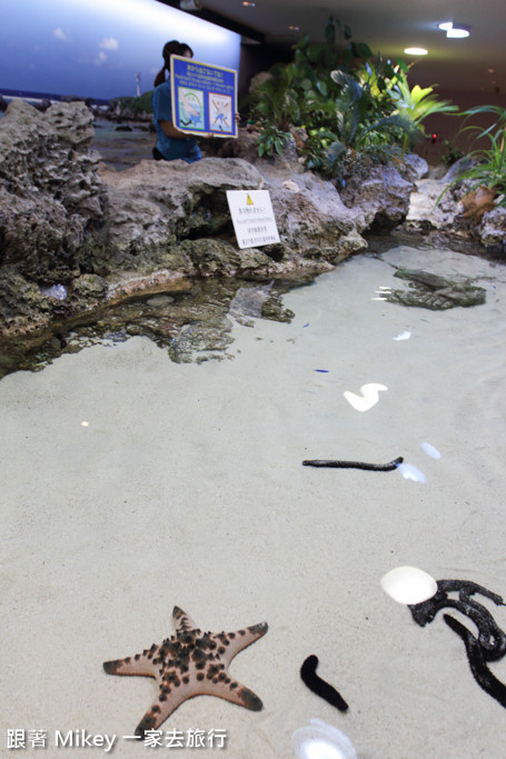 跟著 Mikey 一家去旅行 - 【 沖繩 】 美ら海水族館 - 珊瑚礁之旅