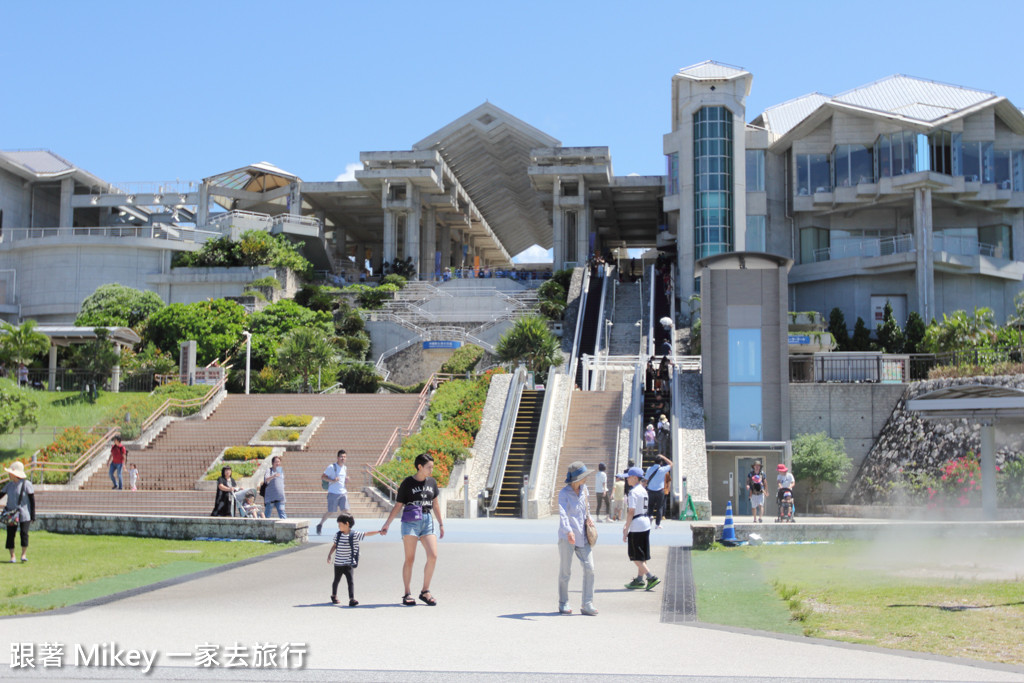 跟著 Mikey 一家去旅行 - 【 沖繩 】 美ら海水族館 - 海豚表演