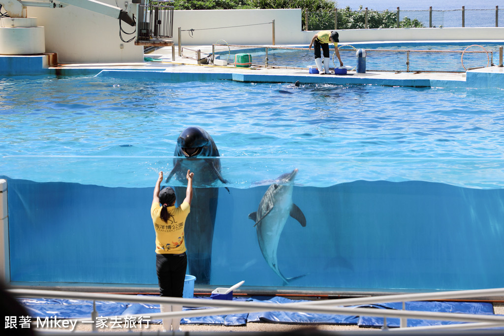 跟著 Mikey 一家去旅行 - 【 沖繩 】 美ら海水族館 - 海豚表演