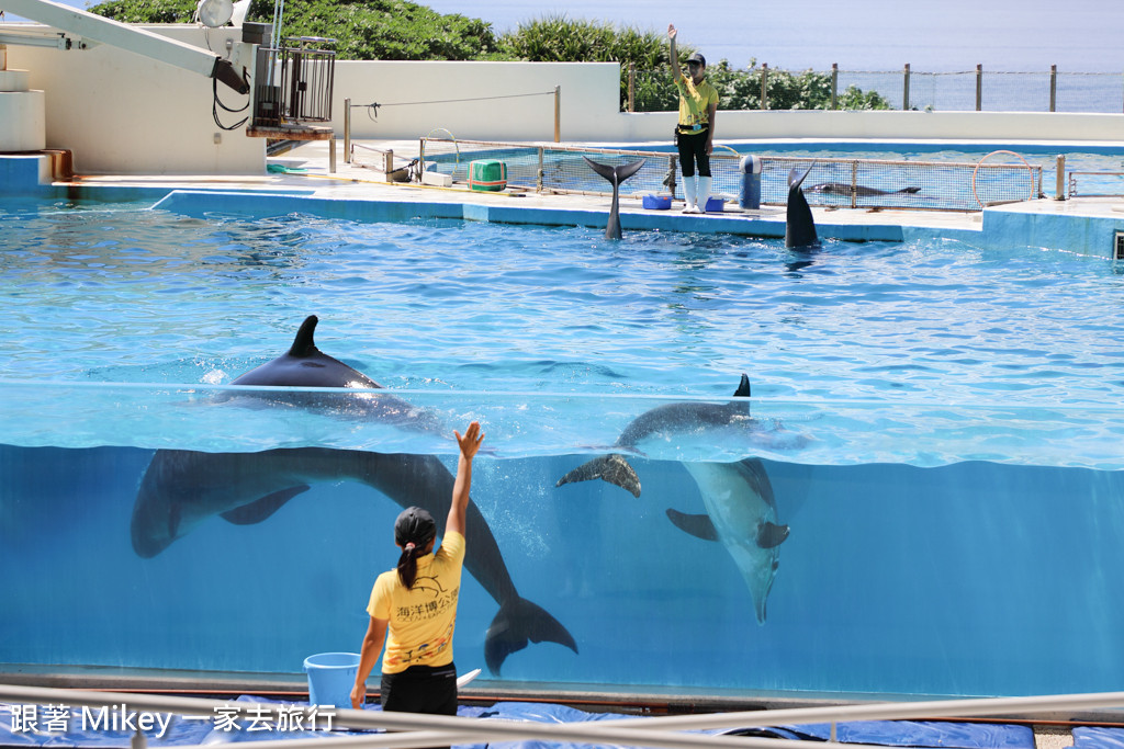 跟著 Mikey 一家去旅行 - 【 沖繩 】 美ら海水族館 - 海豚表演